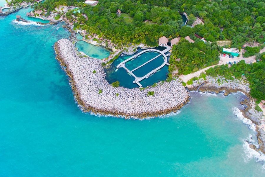 Reconexión con la naturaleza en Delphinus